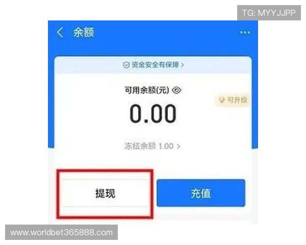 lplbet娱乐平台支持多种支付方式，便捷快速的充值提现流程满足不同用户的资金需求